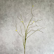 Load image into Gallery viewer, Twisted Willow
