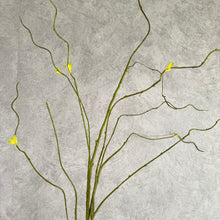 Load image into Gallery viewer, Twisted Willow
