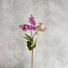 Load image into Gallery viewer, Lilac Artificial Silk Flowers 71cm Stem Purple LILAC001
