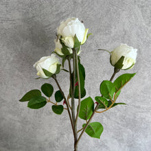Load image into Gallery viewer, Rose Spray White
