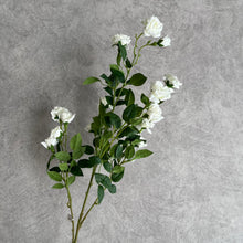 Load image into Gallery viewer, Rose Spray white
