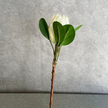 Load image into Gallery viewer, Protea Artificial Silk Flower 55cm White PROTEA018
