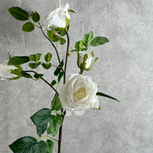Load image into Gallery viewer, Rose Real Touch 5 Heads Artificial Multi-colour ROSE0015-0019
