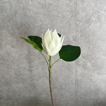 Load image into Gallery viewer, Protea Artificial Silk Flower 67cm Stem PROTEA001-0011
