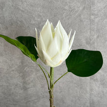 Load image into Gallery viewer, Protea Artificial Silk Flower 67cm Stem PROTEA001-0011

