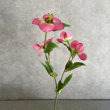 Load image into Gallery viewer, Helleborus Big Stem Artificial Silk Flower HELLEBORUS004-008
