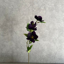 Load image into Gallery viewer, Helleborus Big Stem Artificial Silk Flower HELLEBORUS004-008
