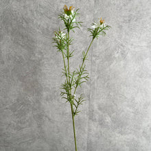 Load image into Gallery viewer, Nigella White
