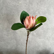 Load image into Gallery viewer, Protea Artificial Silk Flowers 55cm Stem PROTEA009-013
