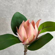 Load image into Gallery viewer, Protea Artificial Silk Flowers 55cm Stem PROTEA009-013

