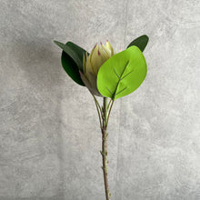 Load image into Gallery viewer, Protea Artificial Silk Flowers 55cm Stem PROTEA009-013
