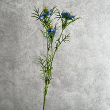 Load image into Gallery viewer, Nigella Blue
