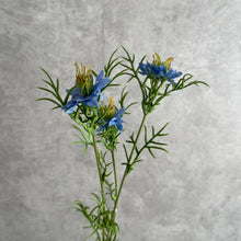 Load image into Gallery viewer, Nigella Blue
