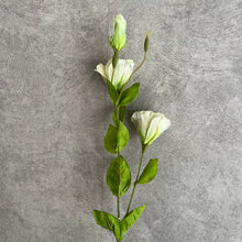 Load image into Gallery viewer, Lisianthus Green
