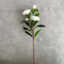 Load image into Gallery viewer, Gardenia Artificial Silk Flower 61cm Stem White GARDENIA0001
