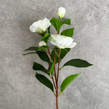 Load image into Gallery viewer, Gardenia Artificial Silk Flower 61cm Stem White GARDENIA0001
