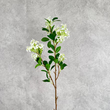 Load image into Gallery viewer, Lilac White

