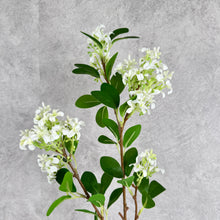 Load image into Gallery viewer, Lilac White
