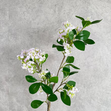 Load image into Gallery viewer, Lilac light purple
