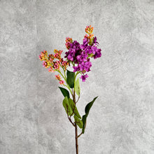 Load image into Gallery viewer, Lilac mauve
