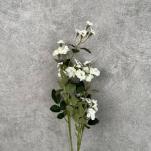 Load image into Gallery viewer, Multiflorarose rose Artificial Flower Stem White MULTIFLORAROSE001
