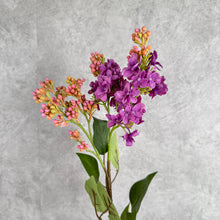 Load image into Gallery viewer, Lilac mauve
