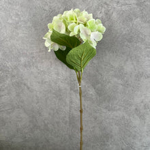 Load image into Gallery viewer, Hydrangea Artificial Silk Flowers Stem HYDRANGEA028-34
