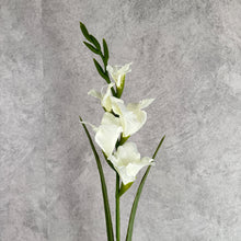 Load image into Gallery viewer, Gladiolus006 white
