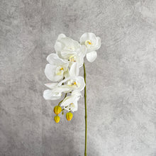 Load image into Gallery viewer, Orchid 7 Heads Artificial Silk Flower Stem ORCHID034
