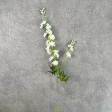 Load image into Gallery viewer, Delphinium White
