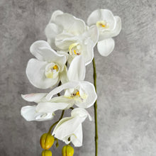 Load image into Gallery viewer, Orchid 7 Heads Artificial Silk Flower Stem ORCHID032-034

