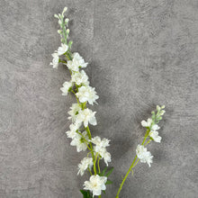 Load image into Gallery viewer, Delphinium White
