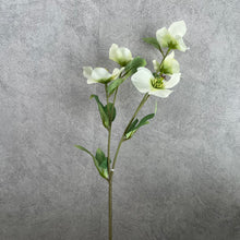 Load image into Gallery viewer, Helleborus Big Stem Artificial Silk Flower HELLEBORUS004-008
