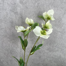Load image into Gallery viewer, Helleborus Big Stem Artificial Silk Flower HELLEBORUS004-008
