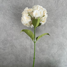 Load image into Gallery viewer, Hydrangea Real Touch 75cm Artificial Flower Stem 3 Color Selections
