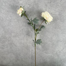 Load image into Gallery viewer, Ranunculus Artificial Silk Flower Stem White RANUNCULUS011
