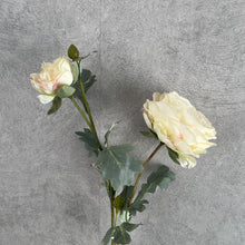 Load image into Gallery viewer, Ranunculus Artificial Silk Flower Stem White RANUNCULUS011
