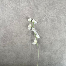 Load image into Gallery viewer, Sweet pea Artificial Silk Flower 62cm White SWEETPEA009
