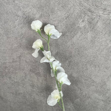 Load image into Gallery viewer, Sweet pea Artificial Silk Flower 62cm White SWEETPEA009
