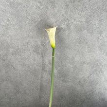 Load image into Gallery viewer, Callalily White
