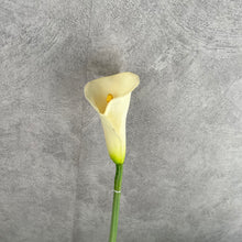Load image into Gallery viewer, Callalily White
