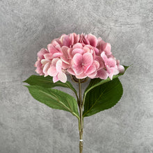 Load image into Gallery viewer, Hydrangea Artificial Silk Flowers Stem HYDRANGEA034 pink
