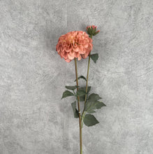 Load image into Gallery viewer, Dahlia Two Heads Artificial Silk Flower 70cm DAHLIA009-017
