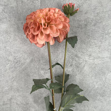 Load image into Gallery viewer, Dahlia Two Heads Artificial Silk Flower 70cm DAHLIA009-017
