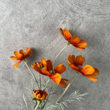 Load image into Gallery viewer, Cosmos Flower Artificial Silk 60cm 15 Colour Selections COSMO001-022
