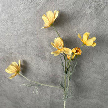Load image into Gallery viewer, Cosmos Flower Artificial Silk 60cm 15 Colour Selections COSMO001-022
