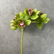 Load image into Gallery viewer, Orchid Artificial Silk Flower Green ORCHID0017
