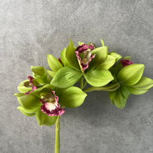 Load image into Gallery viewer, Orchid Artificial Silk Flower Green ORCHID0017
