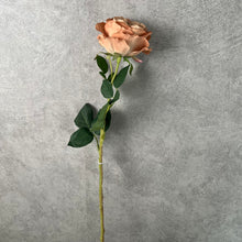 Load image into Gallery viewer, Rose Austin 72cm Single Heads Artificial Flower Stem champagne
