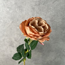 Load image into Gallery viewer, Rose Austin 72cm Single Heads Artificial Flower Stem champagne
